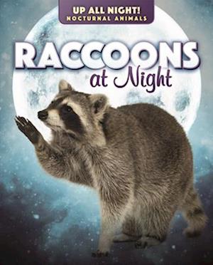 Raccoons at Night