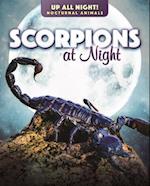 Scorpions at Night