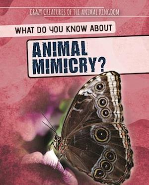 What Do You Know About Animal Mimicry?