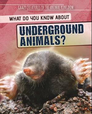 What Do You Know about Underground Animals?