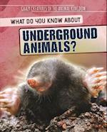 What Do You Know about Underground Animals?