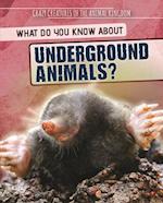 What Do You Know About Underground Animals?