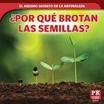 ¿porqué Brotan Las Semillas? (How Seeds Sprout)