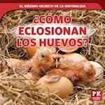 ¿cómo Se Eclosionan Los Huevos? (How Eggs Hatch)