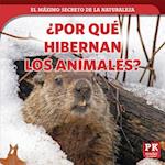 ¿porqué Hibernan Los Animales? (Why Animals Hibernate)