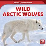 Wild Arctic Wolves