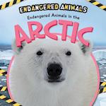 Endangered Animals in the Arctic