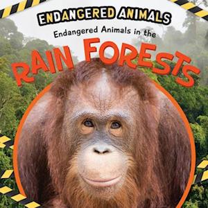 Endangered Animals in the Rain Forest