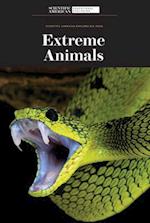 Extreme Animals