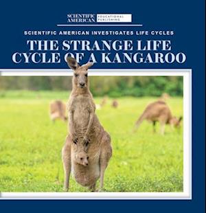 The Strange Life Cycle of a Kangaroo