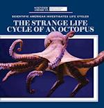 The Strange Life Cycle of an Octopus