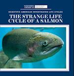 The Strange Life Cycle of a Salmon