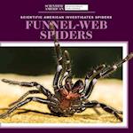 Funnel-Web Spiders