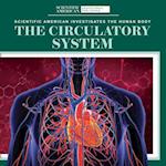 The Circulatory System