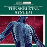 The Skeletal System