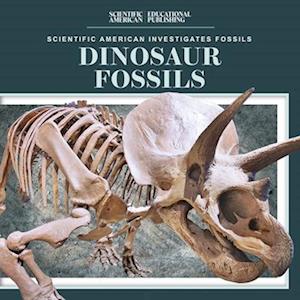 Dinosaur Fossils