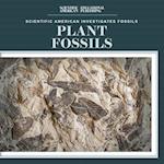 Plant Fossils