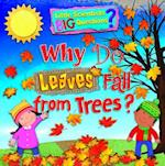 Why Do Leaves Fall from Trees?