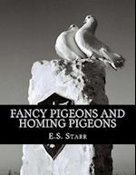 Fancy Pigeons and Homing Pigeons