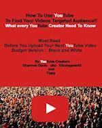 How to Use Youtube to Find Your Videos Targeted Audience!! [budget]