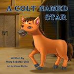 A Colt Named Star