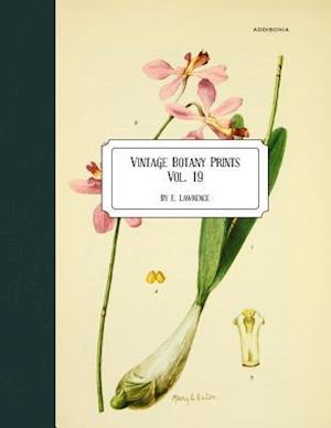 Vintage Botany Prints