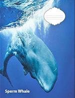 Sperm Whale Wide Ruled Line Paper Composition Book