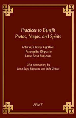 Practices to Benefit Pretas, Nagas and Spirits