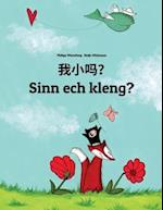 Wo Xiao Ma? Sinn Ech Kleng?