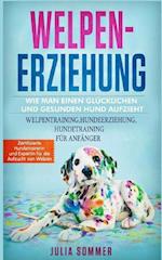 Welpenerziehung: Wie Man Einen Glücklichen Hund Auf Zieht