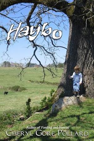 Haybo