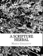 A Scripture Herbal