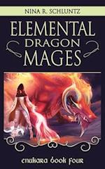 Elemental Dragon Mages