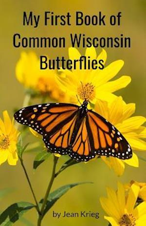 My First Book of Common Wisconsin Butterflies
