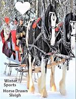 Winter Sport Horse Drawn Sleigh: Text on back Cover 