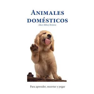 Animales Domésticos