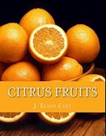 Citrus Fruits