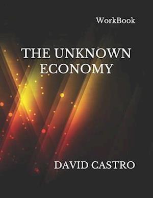 The Unknown Economy - WorkBook