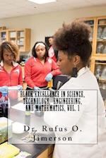 Black Excellence in Science, Technology, Engineering, and Mathematics, Vol. 1
