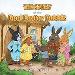 The Story of the Real Easter Rabbit 