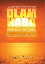 Olam Haba (Future World) Mysteries Book 7-"The Sunset": "Unseen Footsteps of Jesus" 