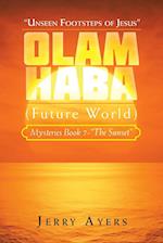 Olam Haba (Future World) Mysteries Book 7-"The Sunset": "Unseen Footsteps of Jesus" 