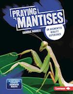 Praying Mantises