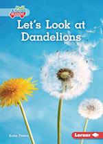 Let's Look at Dandelions