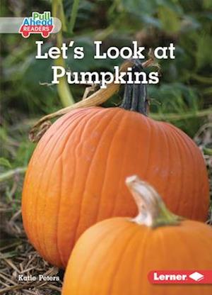 Let's Look at Pumpkins