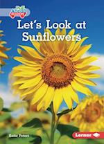 Let's Look at Sunflowers