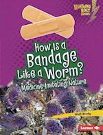 How Is a Bandage Like a Worm?