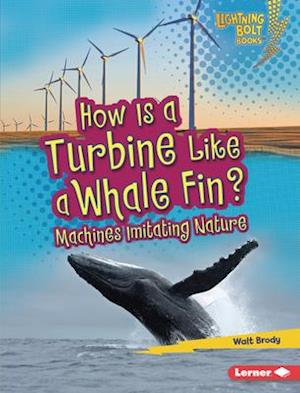 How Is a Turbine Like a Whale Fin?