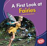 First Look at Fairies