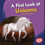 First Look at Unicorns